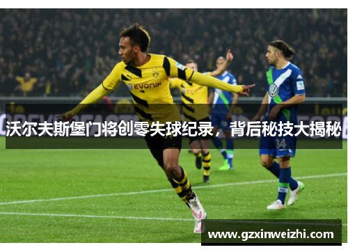 沃尔夫斯堡门将创零失球纪录，背后秘技大揭秘