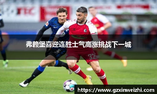 中欧体育官网