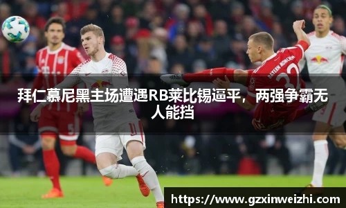 中欧体育网址