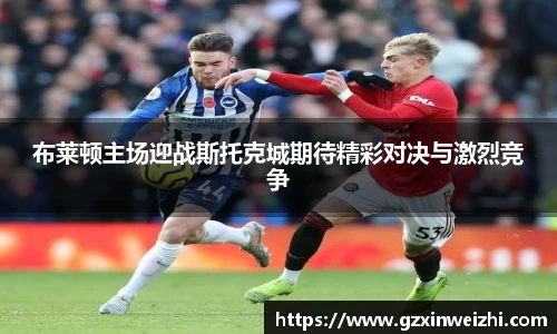 布莱顿主场迎战斯托克城期待精彩对决与激烈竞争