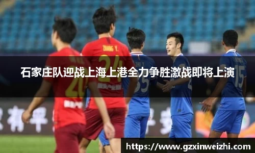 zoty中欧体育