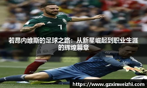 若昂内维斯的足球之路：从新星崛起到职业生涯的辉煌篇章