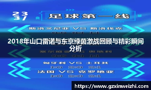2018年山口雷诺与东京绿茵激战回顾与精彩瞬间分析