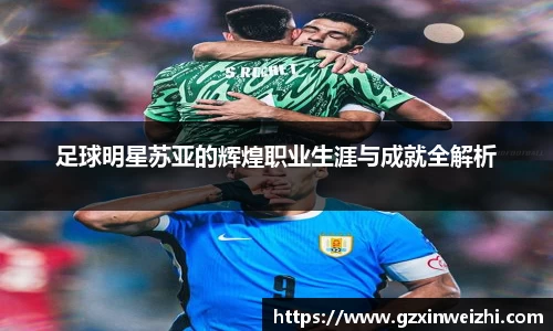 中欧体育网址