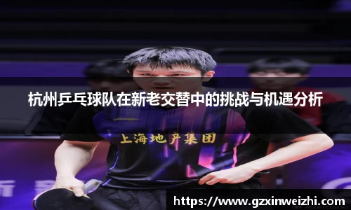 杭州乒乓球队在新老交替中的挑战与机遇分析