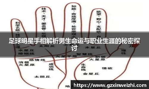 足球明星手相解析男生命运与职业生涯的秘密探讨